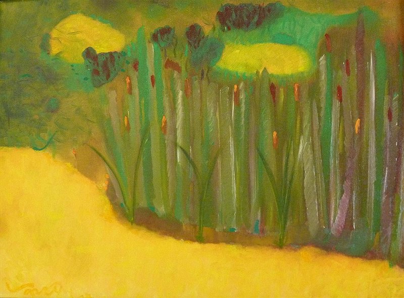 Pond on Rife Road.JPG